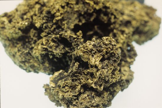 Gold nugget
