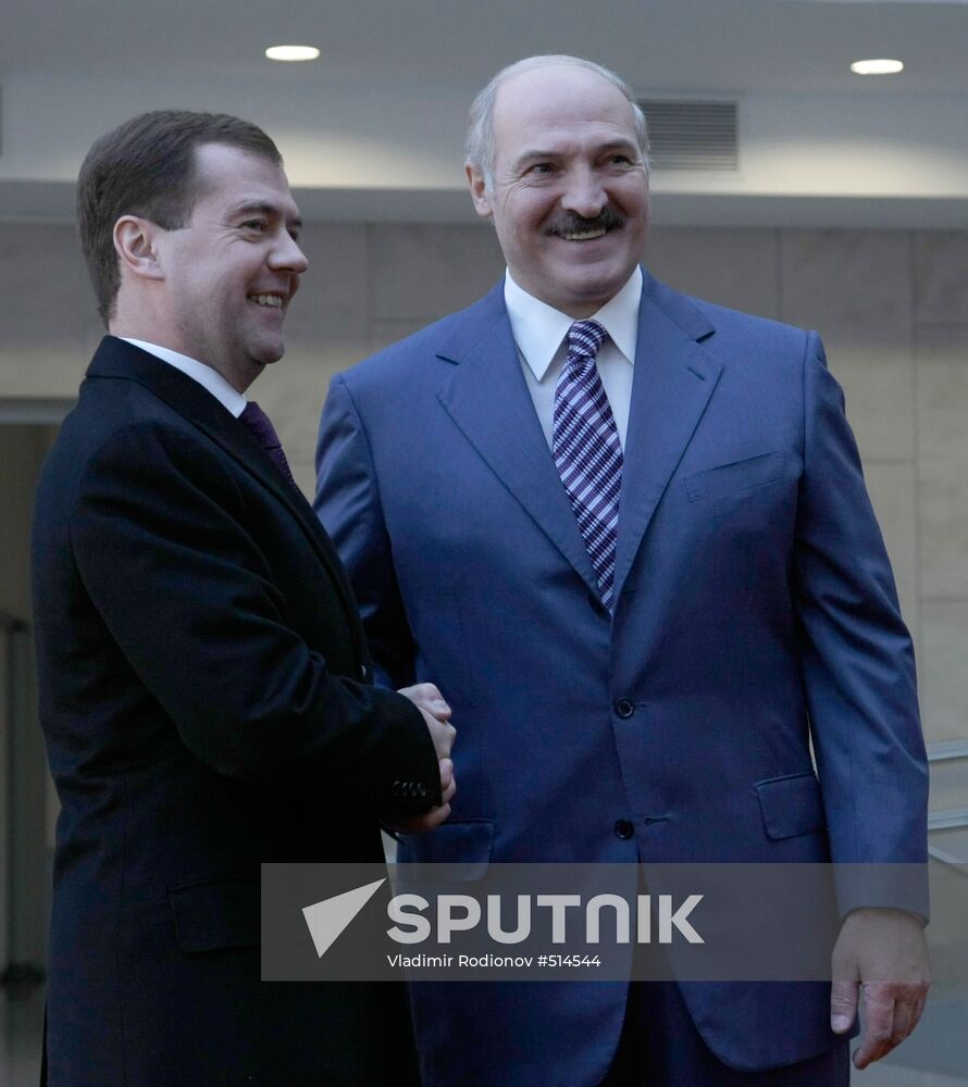 Russian President. Eurasian Economic Community. Meeting.