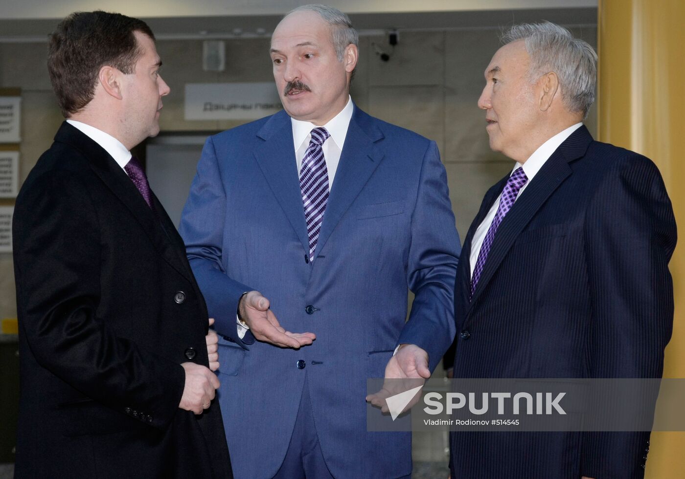 Russian President. Eurasian Economic Community. Meeting.