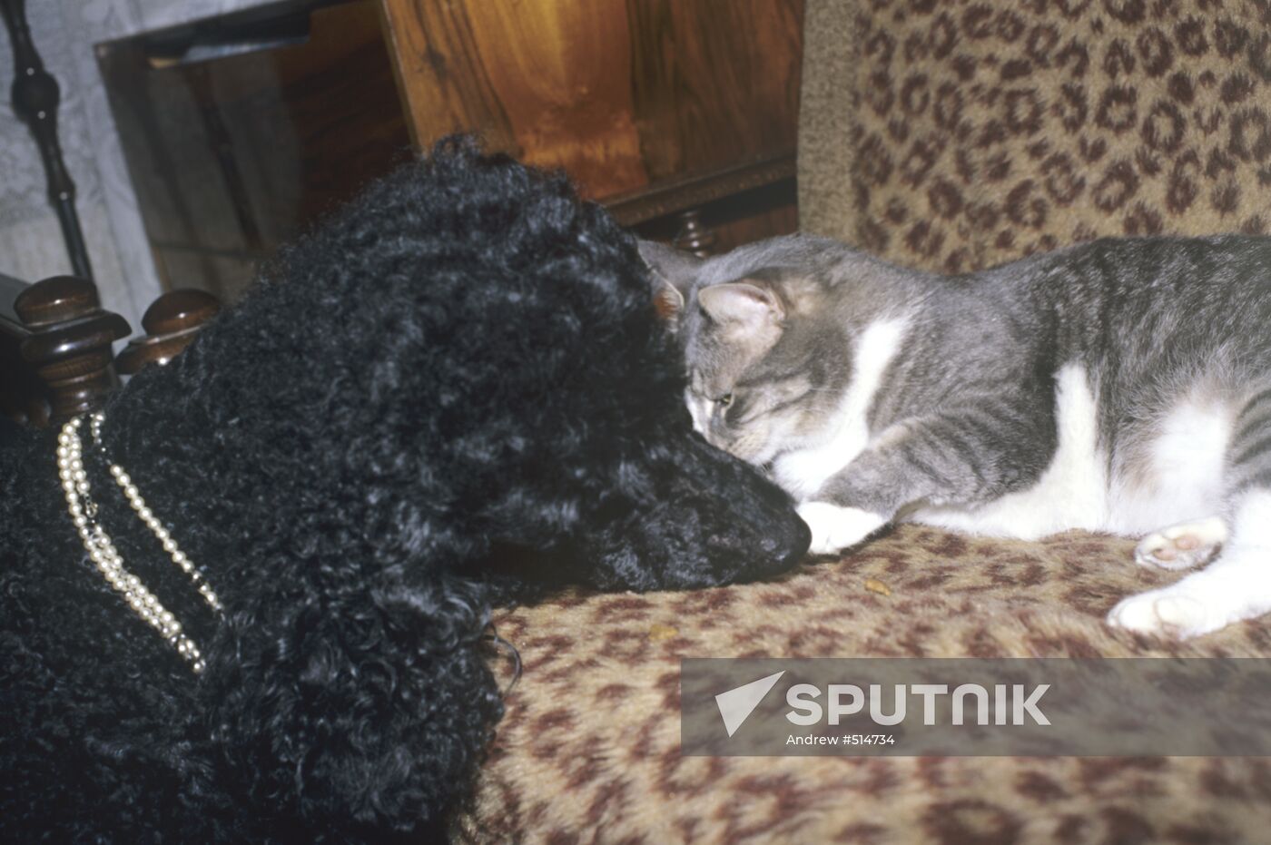 Friendship