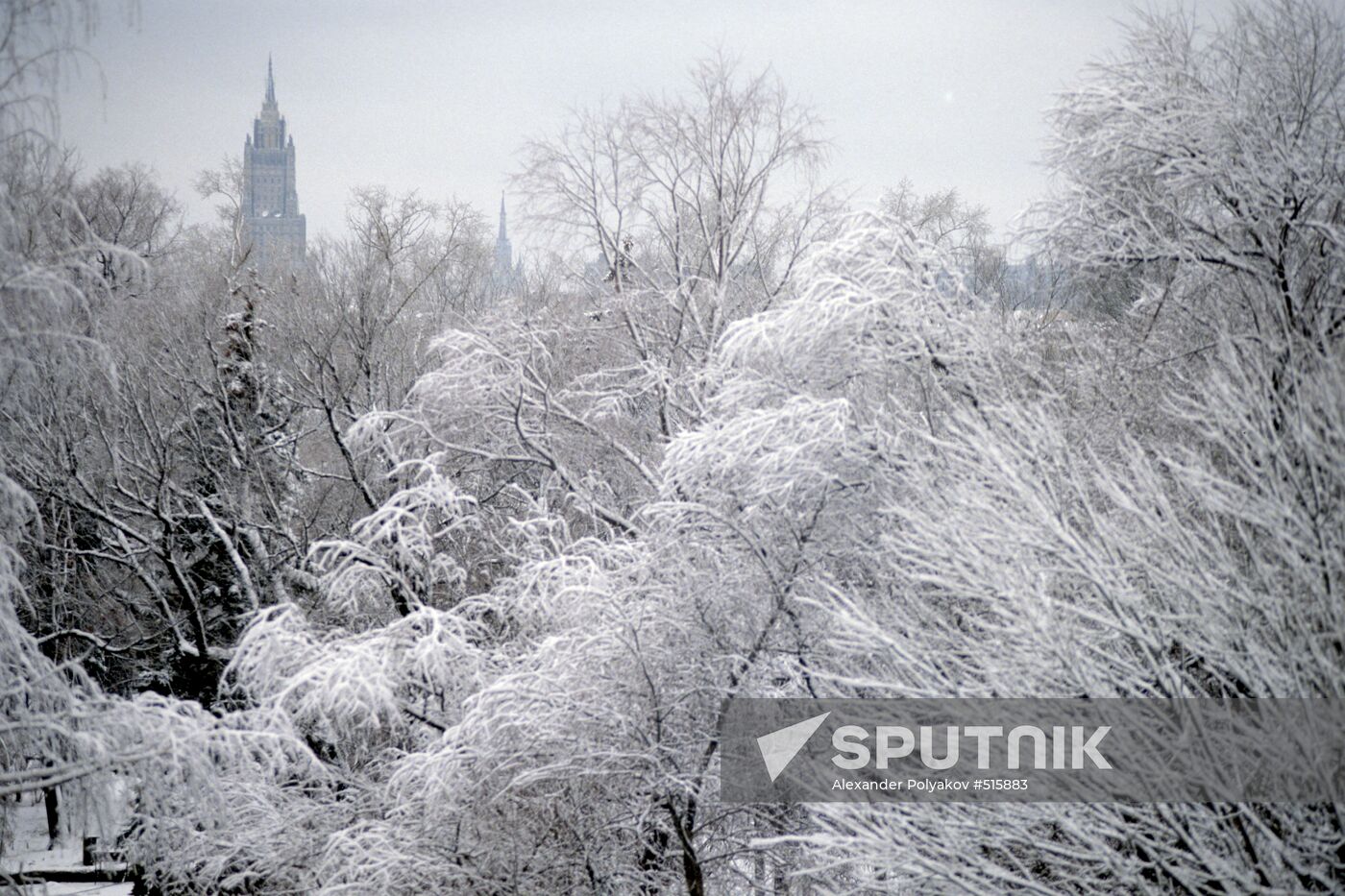 Neskuchny garden in winter