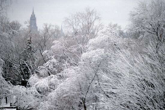 Neskuchny garden in winter
