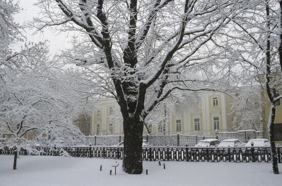 Pushkin. Oak-tree. Tverskoy Boulevard