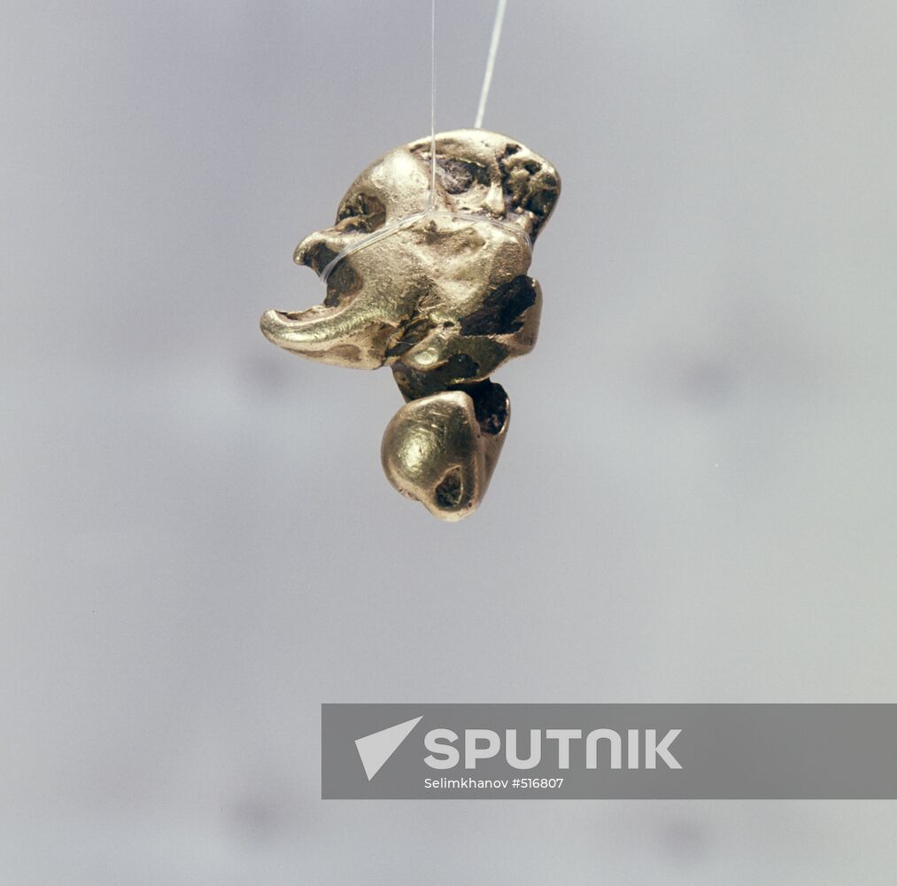 Gold nugget "Mephistopheles"