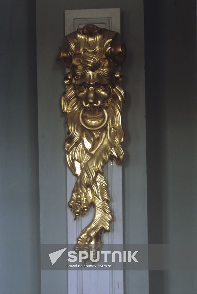 Lion mask