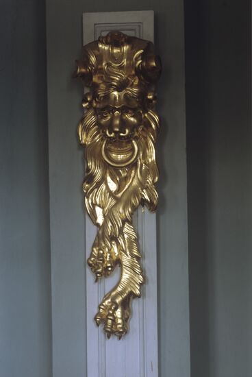 Lion mask