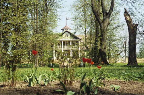 Hannibal-Pushkins' family estate