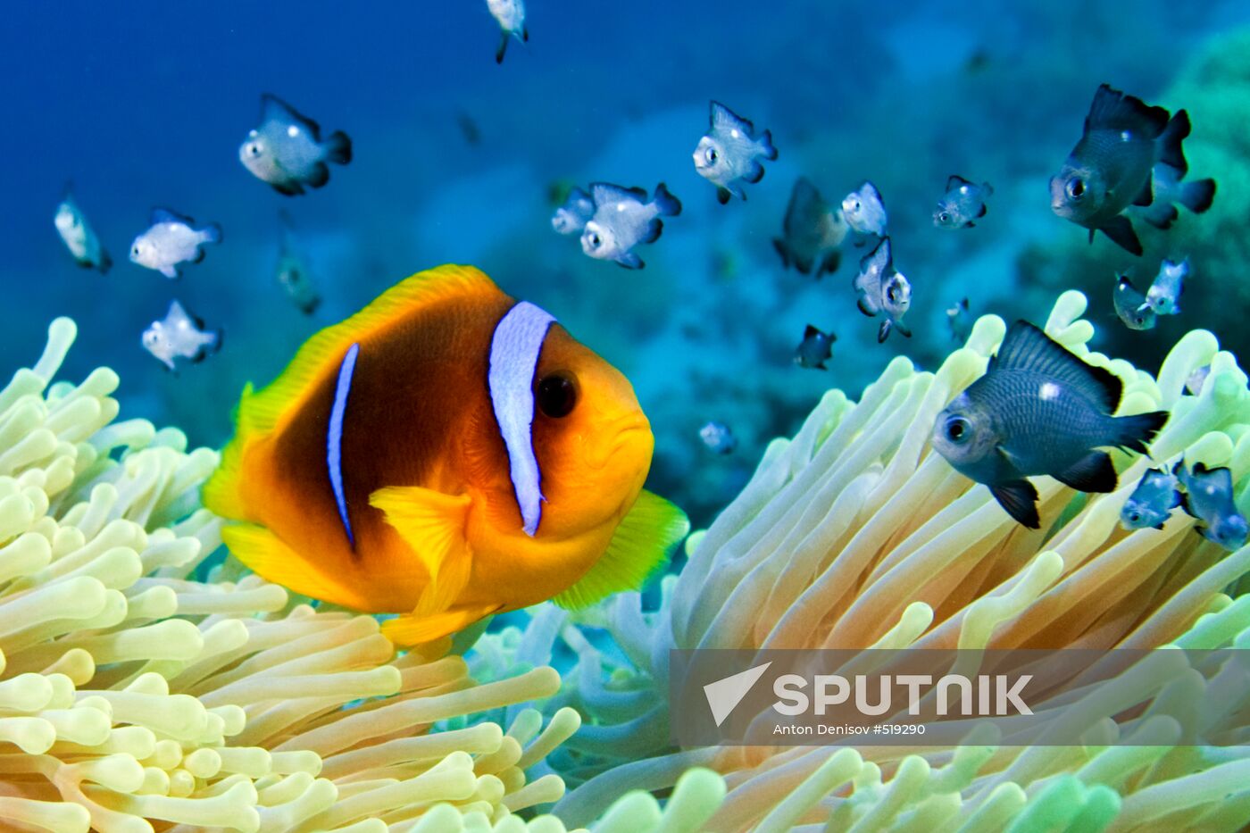 Underwater