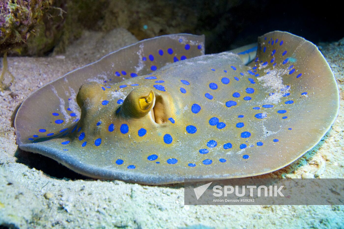 Underwater