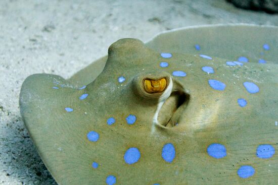 Underwater