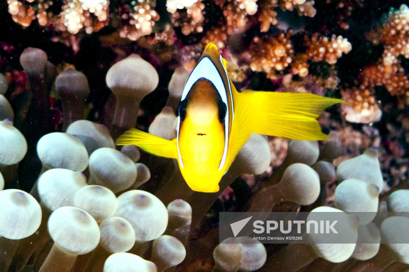 Underwater