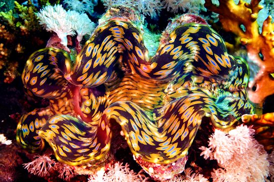 Underwater