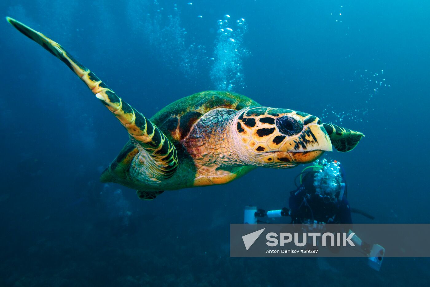 Underwater