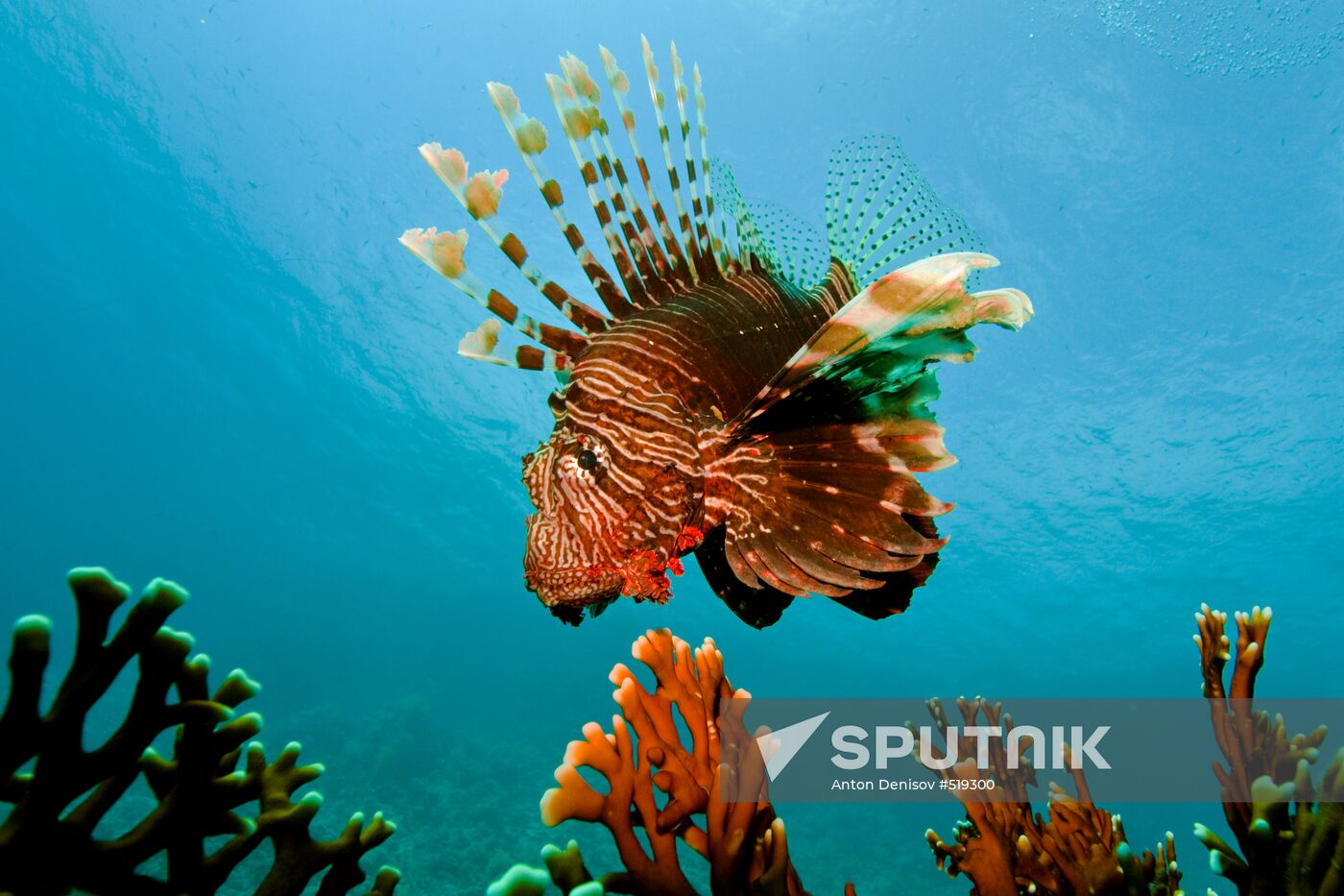 Underwater