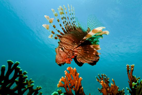 Underwater