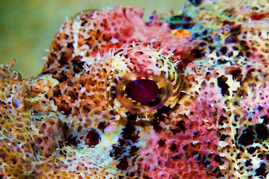 Underwater