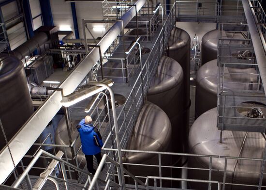 Volga Brewery