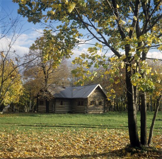 Peter the Great's lodge at Kolomenskoye