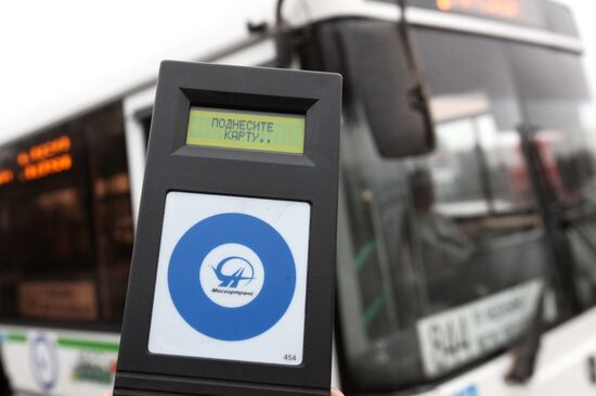 Portable device for checking travel passes