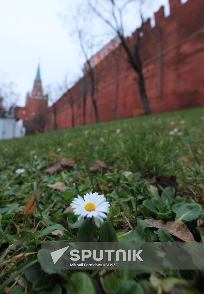 Abnormally warm weather in Moscow