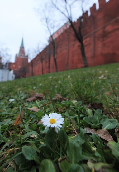 Abnormally warm weather in Moscow