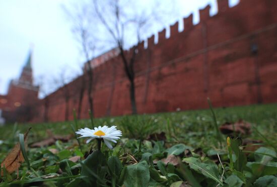 Abnormally warm weather in Moscow