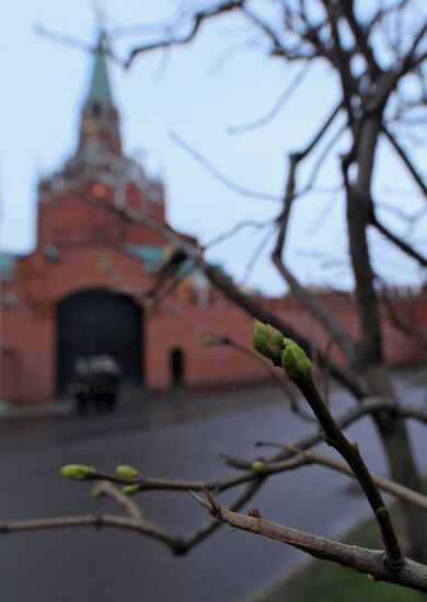 Abnormally warm weather in Moscow