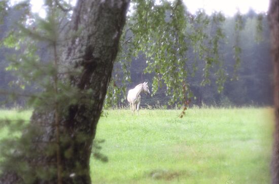 Pushkin's open air museum Mikhailovskoye