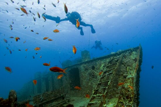 Foreign countries. Egypt