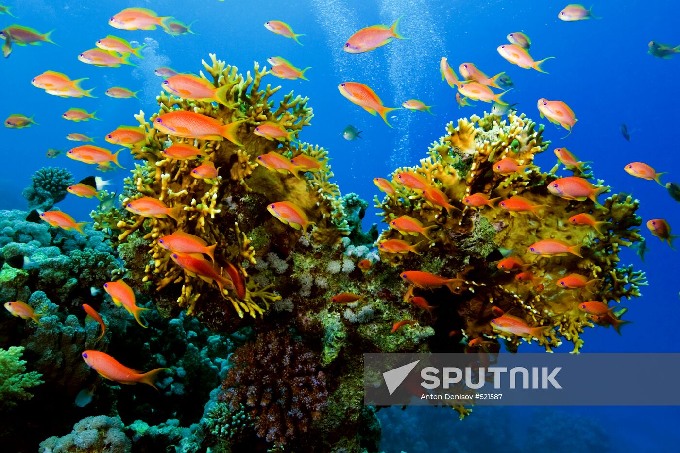 Underwater