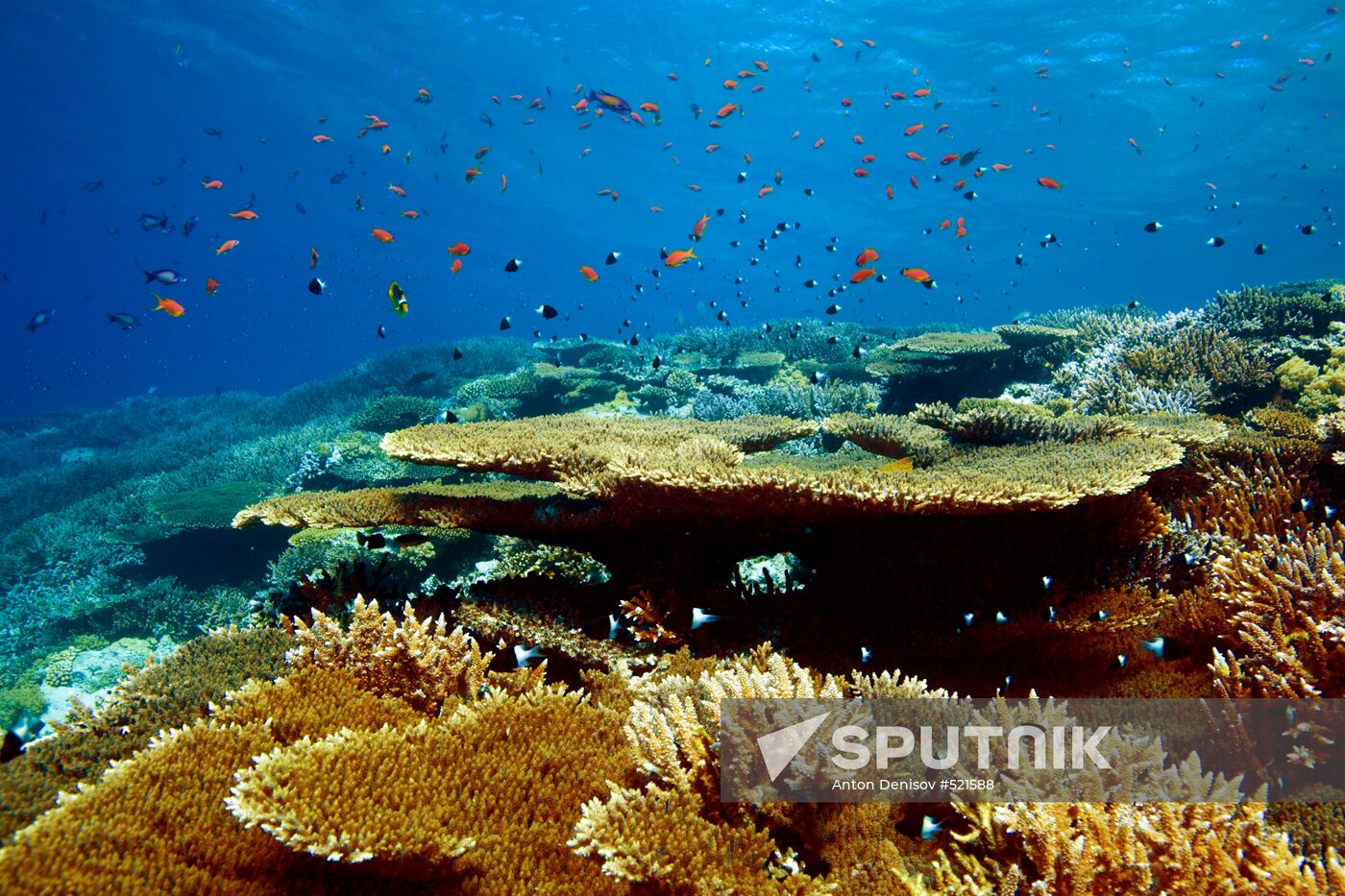 Underwater