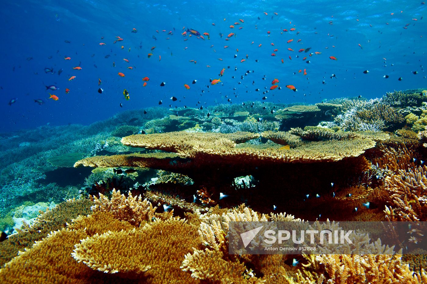Underwater