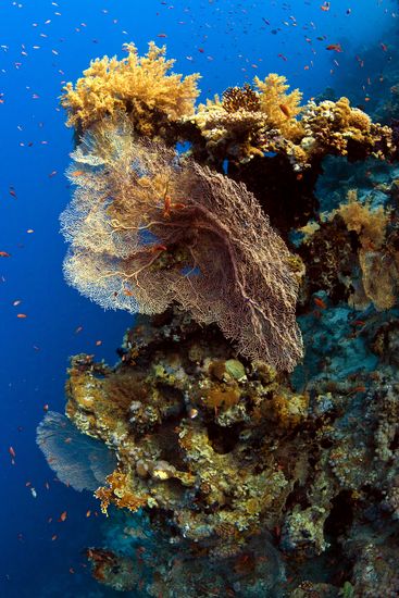 Underwater