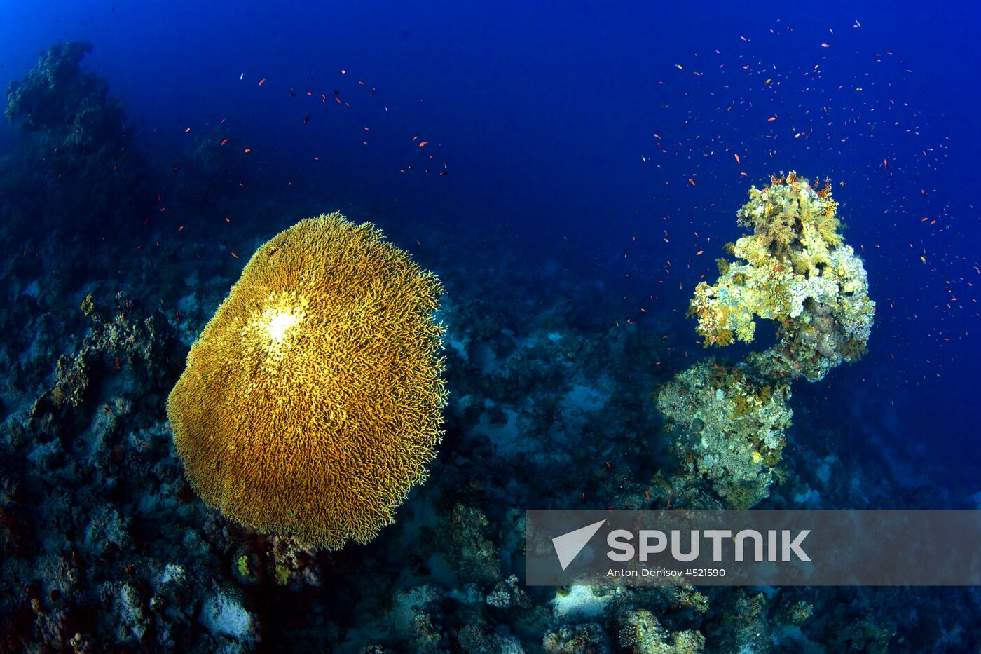 Underwater