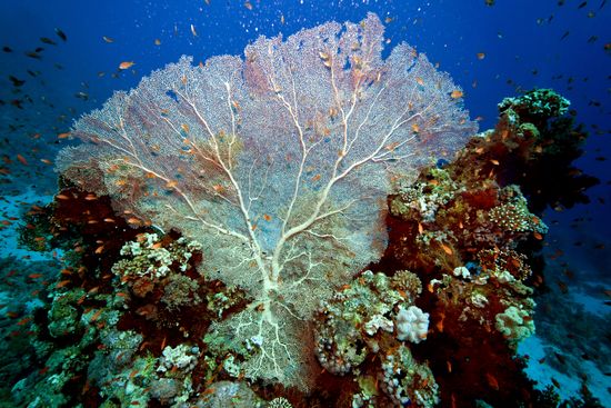 Underwater
