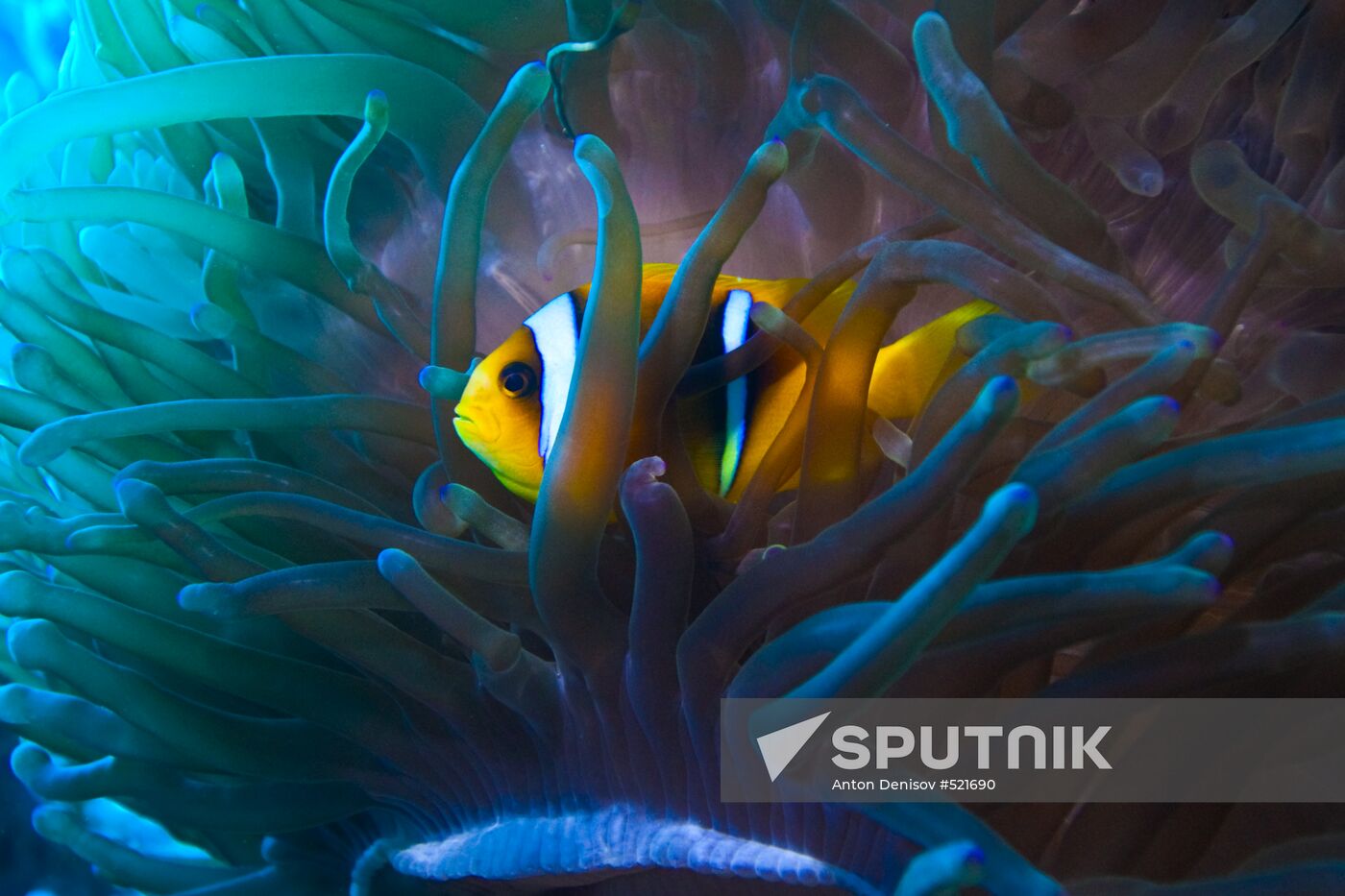 Underwater