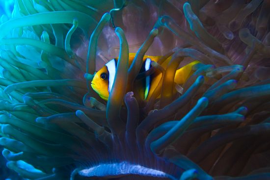 Underwater