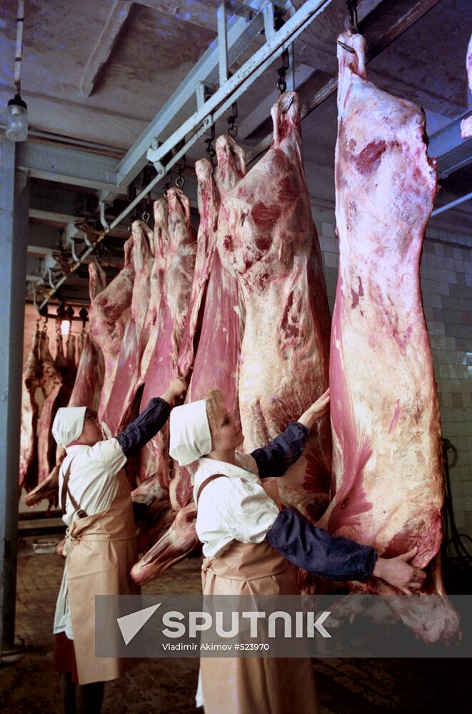 Meat processing shop