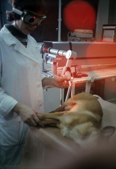 Zoological Cancer Detection Center