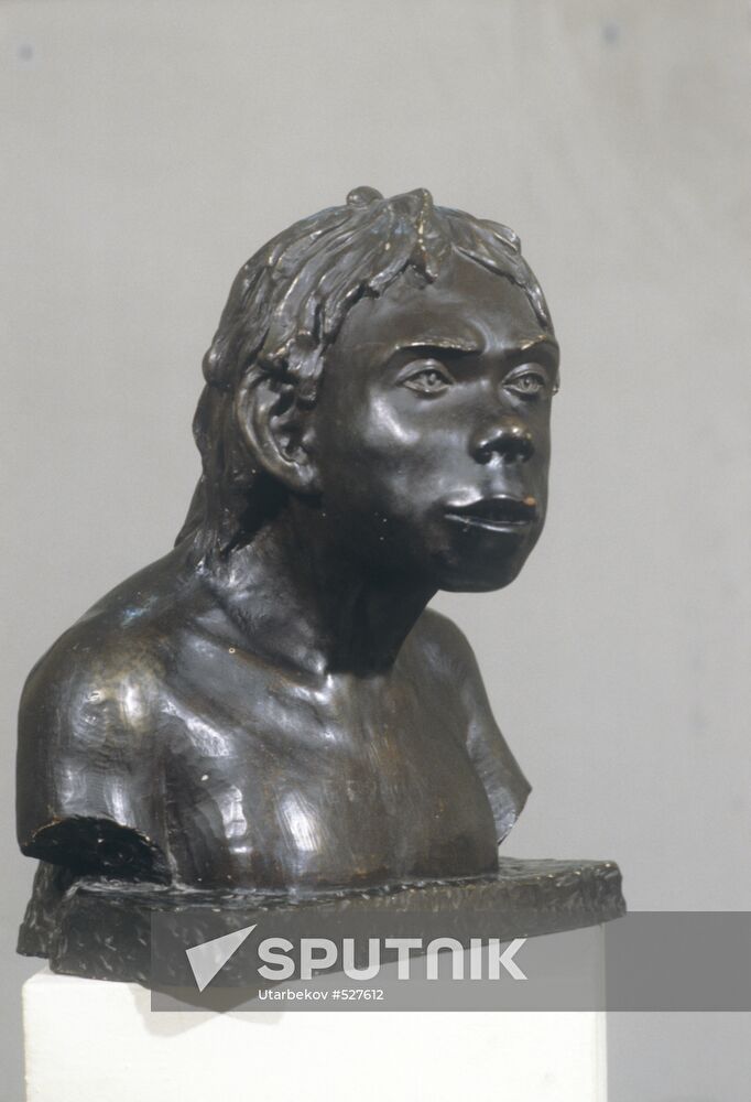 Bust of Neanderthal boy