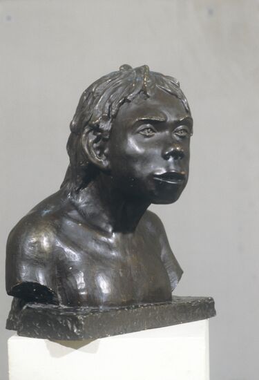 Bust of Neanderthal boy