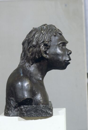 Bust of Neanderthal boy