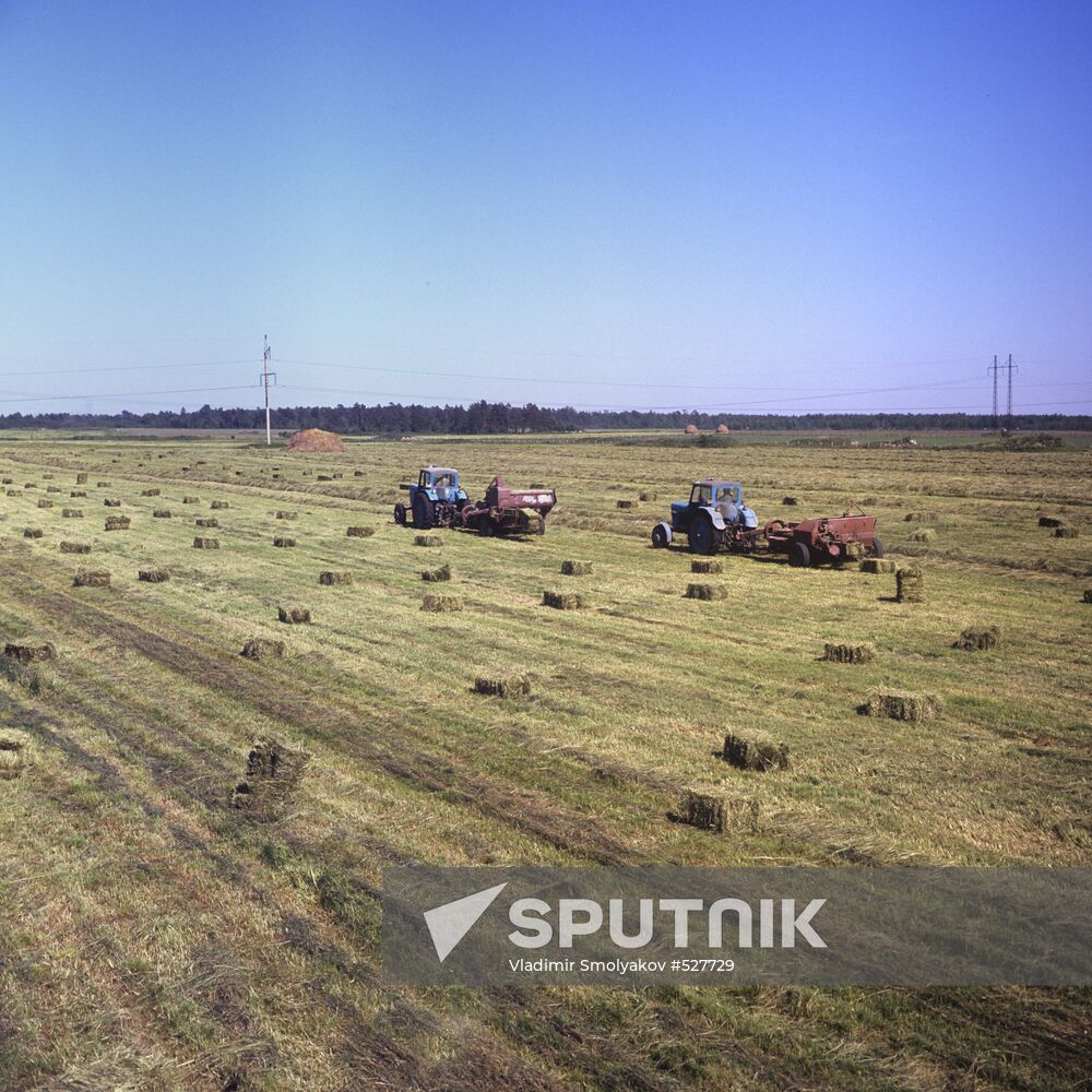 The Saue state farm in the Estonian SSR