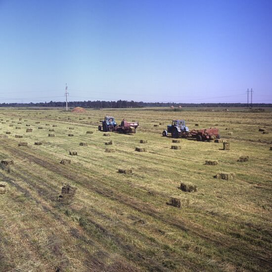 The Saue state farm in the Estonian SSR