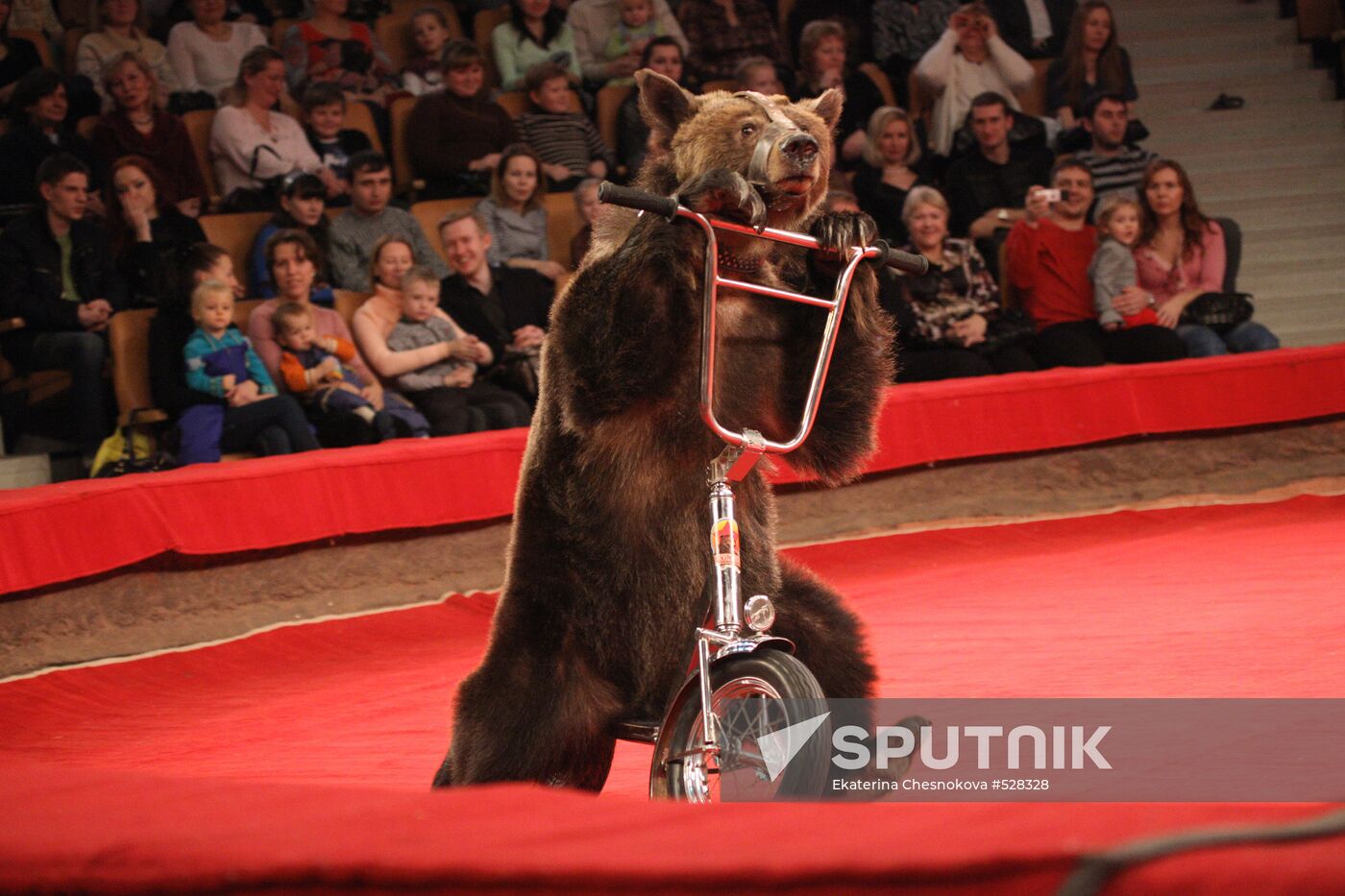 Circus show