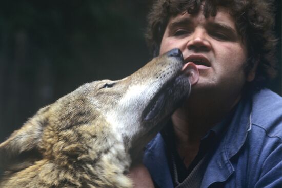 Trainer of zoological base with wolf