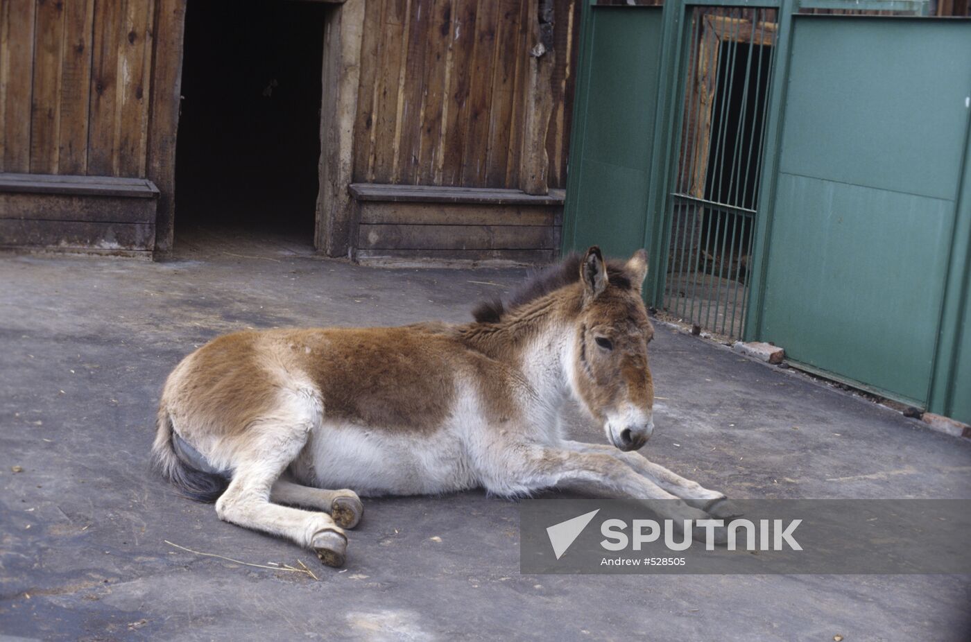 Moscow Zoo