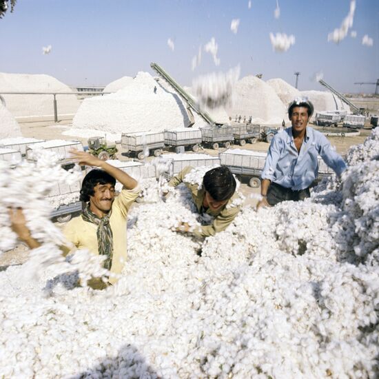 Cotton collection station