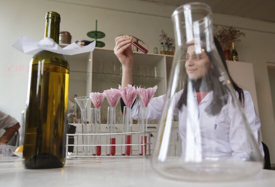 Wines and Beverages of Abkhazia production facility in Sukhumi