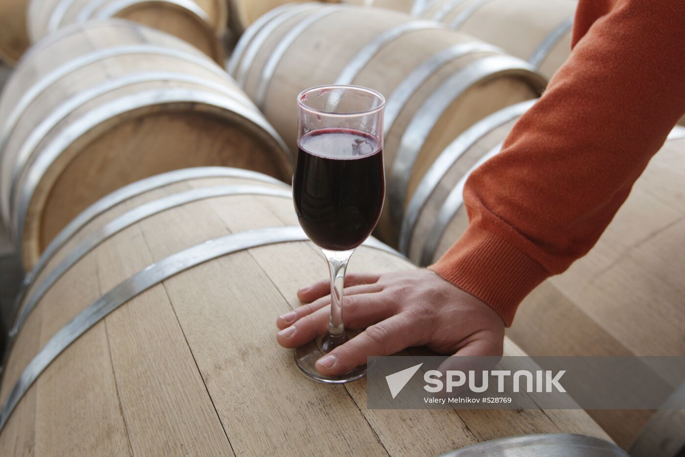 Wines and Beverages of Abkhazia production facility in Sukhumi